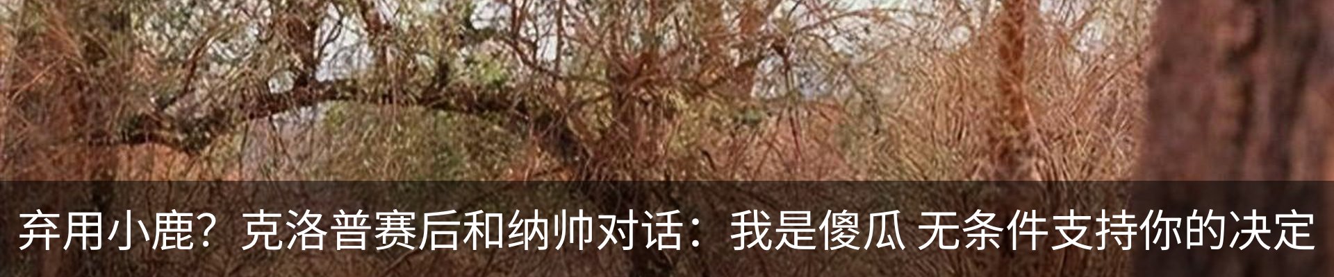 新闻中心