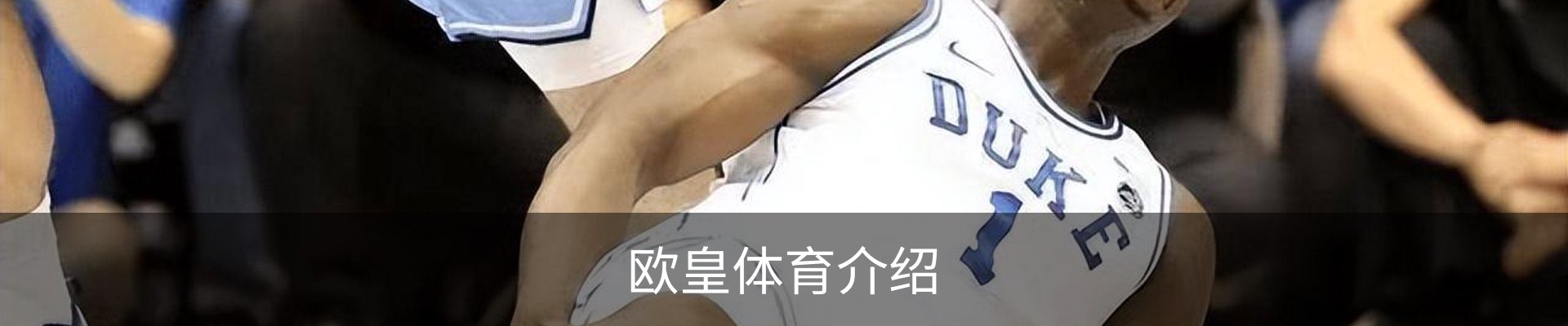 欧皇体育介绍
